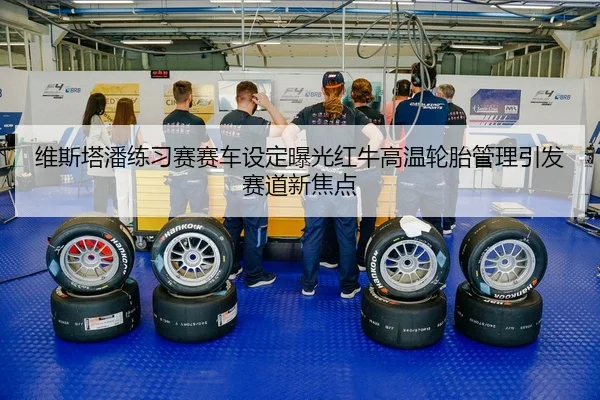 维斯塔潘练习赛赛车设定曝光红牛高温轮胎管理引发赛道新焦点