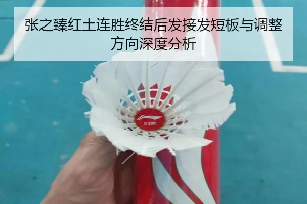 张之臻红土连胜终结后发接发短板与调整方向深度分析
