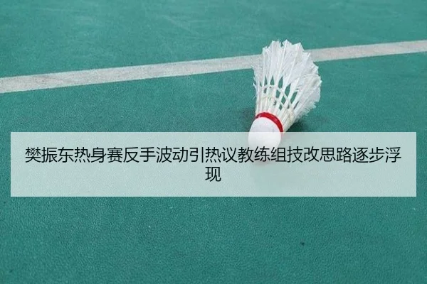 樊振东热身赛反手波动引热议教练组技改思路逐步浮现